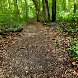 Spring Mill State Park - Walking trail