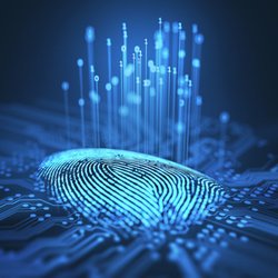 Alive Scan - New: Electronically capture and print to multiple FD-258 hard cards.