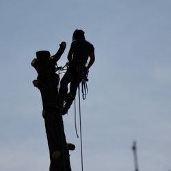 ArborTech