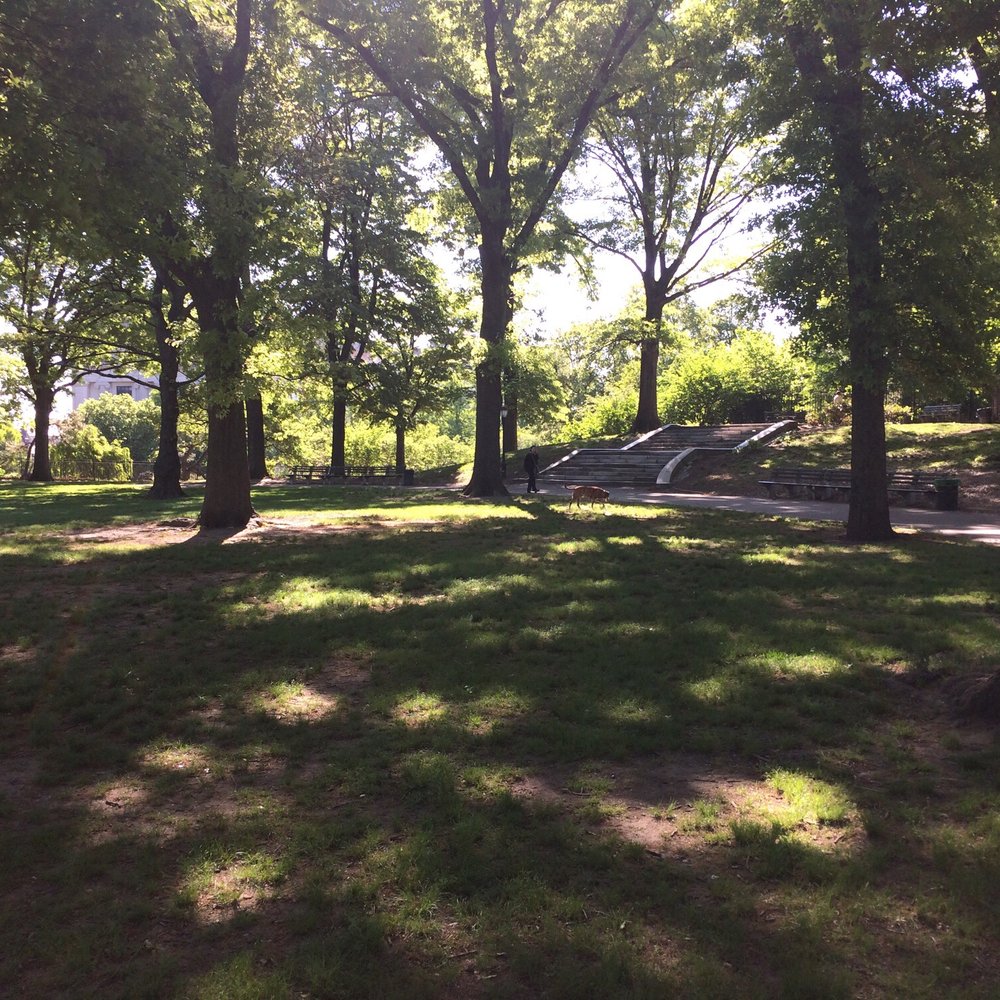 Mount Prospect Park - Playgrounds Near Me - Brooklyn, New York