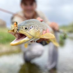 Fremont River Guides - Dry fly fishing in southern Utah!
