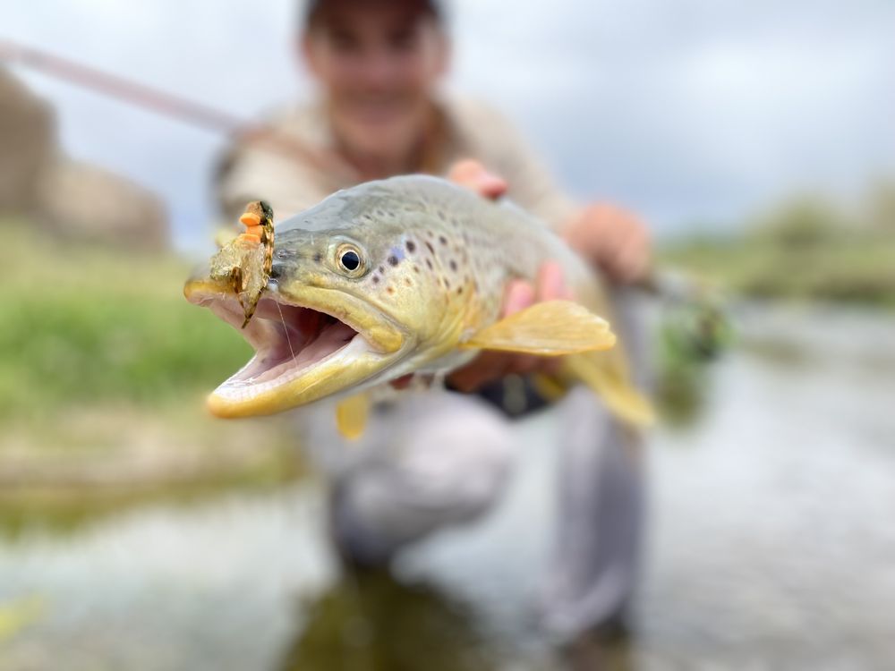 Fremont River Guides Logo