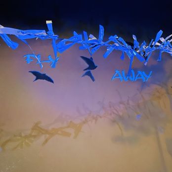 Prismajic - Museums Near Me - Lakewood, Colorado Prismajic - Museums Near Me - Lakewood, Colorado