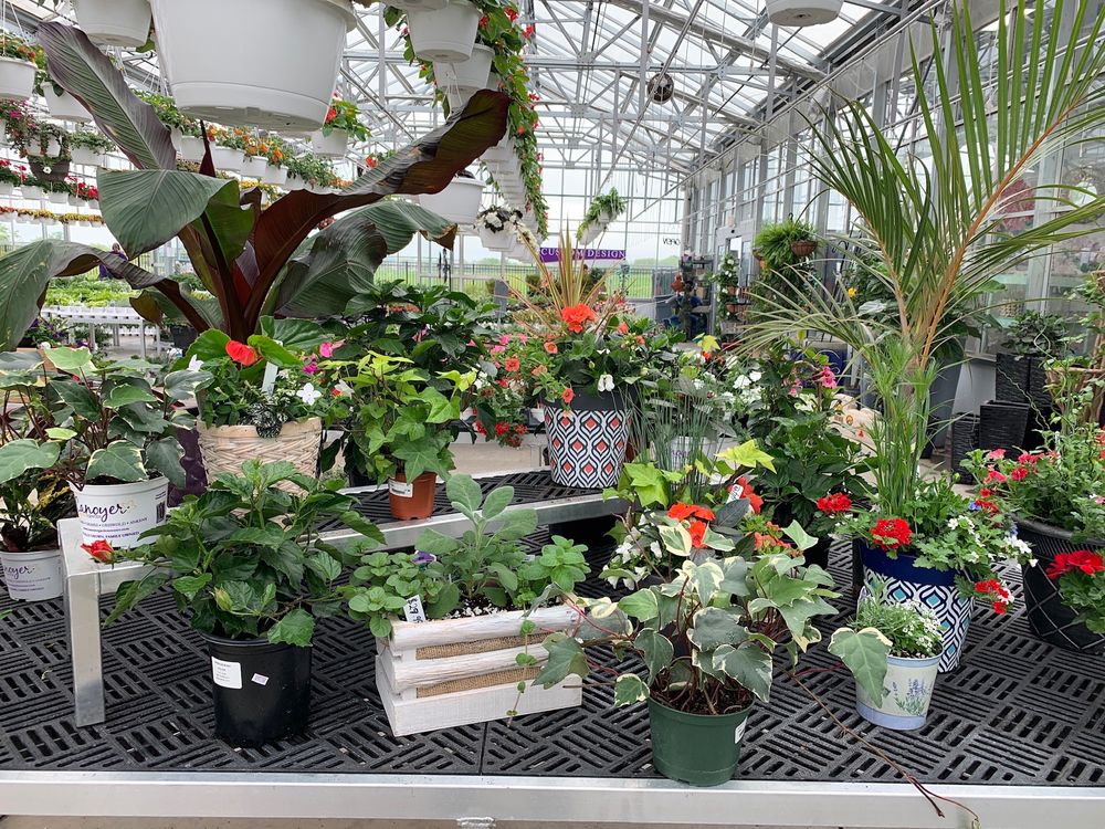 Canoyer Garden Center - tree service in Grimes, IA