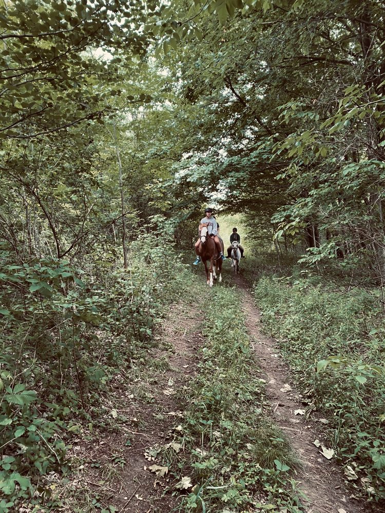 Crown Hill Farm - equestrian in Cortland, NY
