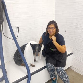 The Doggy Detail - We went into the room to dry me off. - Pet Groomers Near Me - Lake Forest, California