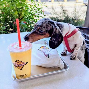 The Original Tops - Sneaking a lick - Burgers Near Me - Pasadena, California The Original Tops - Sneaking a lick - Burgers Near Me - Pasadena, California