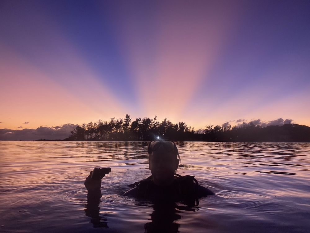 Scuba Adventure Logo