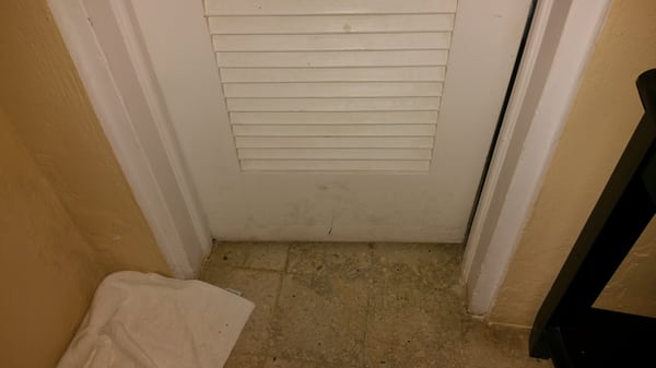 The Comanche by null