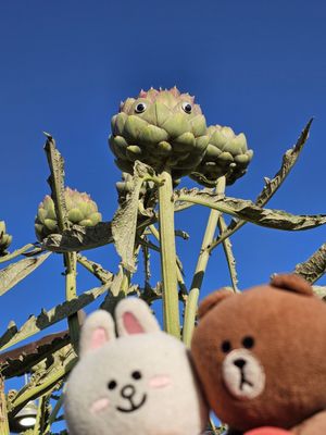 LA County Fair by null