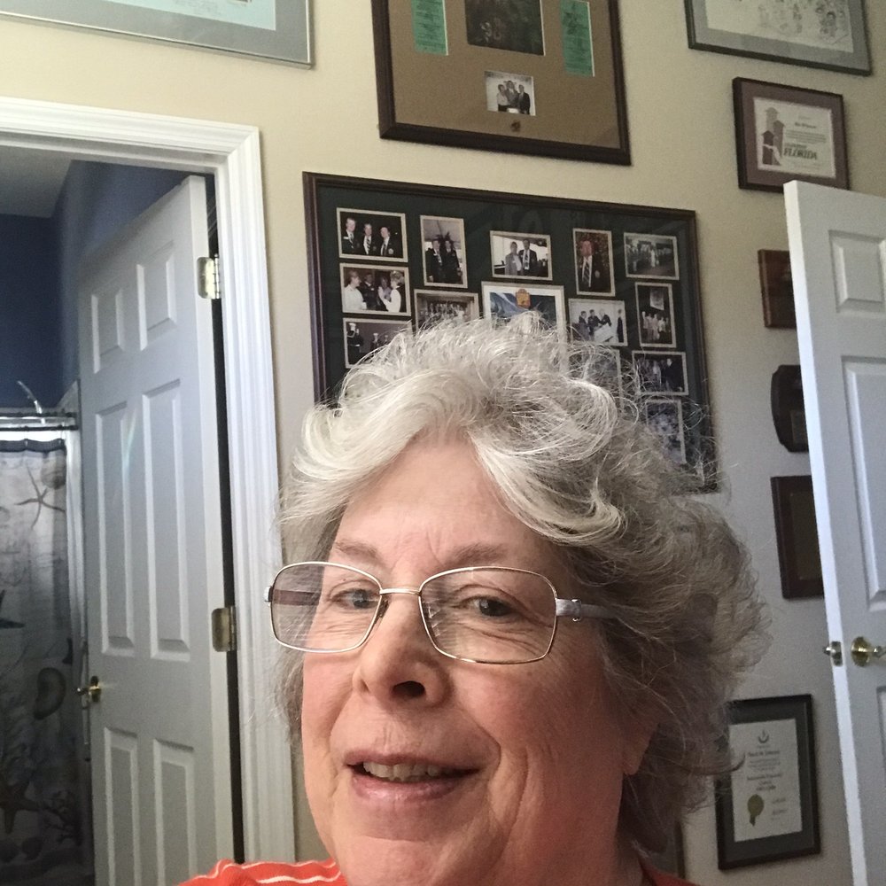 9 to 5 Pets Image