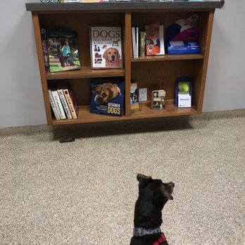Saddleback Animal Hospital - Waiting for doctor anxiously - Veterinarians Near Me - Tustin, California Saddleback Animal Hospital - Waiting for doctor anxiously - Veterinarians Near Me - Tustin, California