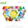 Photo of Seed Pediatrics
