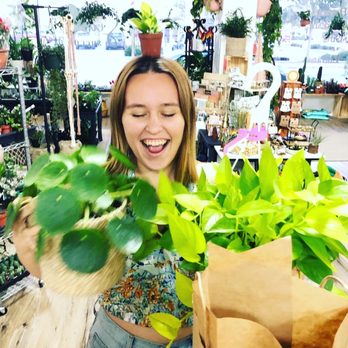 The Seaside Succulent - Nurseries & Gardening Near Me - Cocoa, Florida