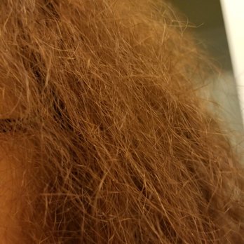 Hair By Lynn - Hair Stylists Near Me - Fairfax, Virginia Hair By Lynn - Hair Stylists Near Me - Fairfax, Virginia