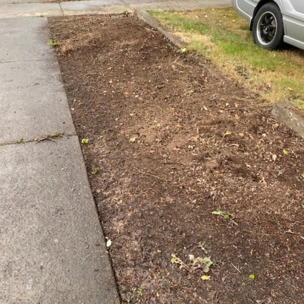 Tree North  Tree Service - The overgrown shrubs were completely pulled to make room for a tidy hedge. - Tree Services Near Me