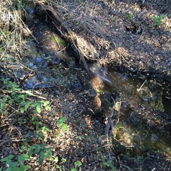 Chumash Park - A small running stream, which leads to a pond..but watch out for poison ivy! - Parks Near Me - Pismo Beach, California Chumash Park - A small running stream, which leads to a pond..but watch out for poison ivy! - Parks Near Me - Pismo Beach, California