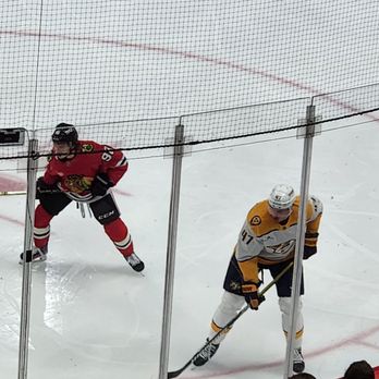 Nashville Predators - Professional Sports Teams Near Me - Nashville, Tennessee