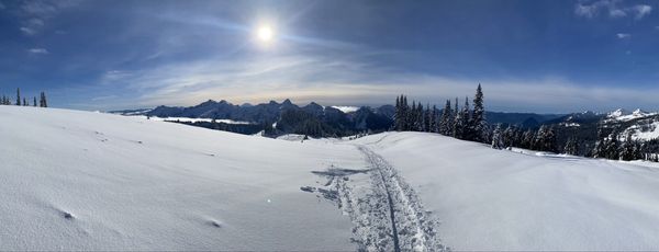 Alexander's Lodge At Mt Rainier by null