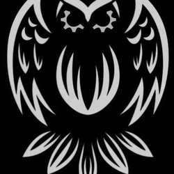 Night Owl Autoworks