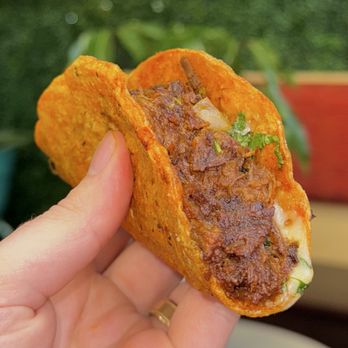 Birrieria El Zacatecano - Quesabirria Taco (shredded beef) - Mexican Near Me - Pontiac, Michigan Birrieria El Zacatecano - Quesabirria Taco (shredded beef) - Mexican Near Me - Pontiac, Michigan