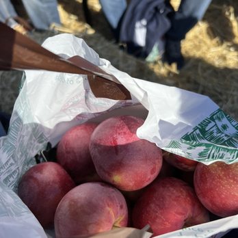 Demarest Farm - Farmers Market Near Me - Hillsdale, New Jersey