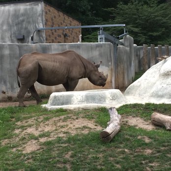 Potter Park Zoo - Zoos Near Me - Lansing, Michigan Potter Park Zoo - Zoos Near Me - Lansing, Michigan