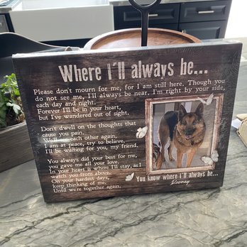 South Temecula Veterinary Hospital - One of the greatest - Veterinarians Near Me - Temecula, California