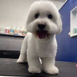 Fur-nando’s Groom Room