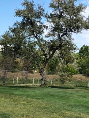 AURORA HILLS GOLF COURSE - Updated February 2026 - 20 Reviews - 50 S