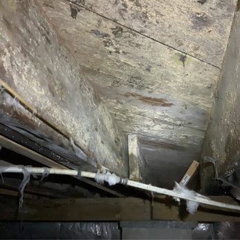 DeTect Termite & Moisture Service and The Brickkicker - Home Inspectors Near Me - Norfolk, Virginia DeTect Termite & Moisture Service and The Brickkicker - Home Inspectors Near Me - Norfolk, Virginia