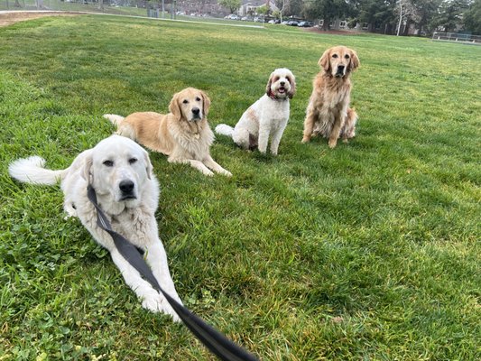 Happy Hounds Hub - At Happy Hounds, I help dogs thrive with expert training and personalized care. Whether it’s teaching calm loose-leash walking, functional obedience, or helping reactive dogs find confidence, I make life easier for you and happier for your dog. Services we offer: Loose Leash Walking – peaceful walks without pulling or distractions Functional Obedience – sit, down, place, come, polite behavior for everyday life Off-Leash Training – safe freedom with e-collar support (required) Reactive Dog Training – building calm, confidence, and focus Pet Care – drop-in visits, in-home pet sitting, and boutique boarding in a cozy home, family-like setting Why choose us? We don’t believe in one-size-fits-all training. Every dog’s plan is customized to their personality, energy, and needs. Our balanced approach blends positive reinforcement with structure, creating well-mannered, confident companions. Unlike kennels, our boutique boarding offers comfort, calm, and a stress-free environment—just like home. About Us Founded in 2020, Happy Hounds Hub is my passion project. As a lifelong animal lover, I’ve cared for everything from parrots to large and giant-breed dogs. Today, I run Happy Hounds Hub as a solo owner, treating every dog as if they were my own—with patience, trust, and love. Ready to enjoy calmer walks, better manners, or a safe and happy stay for your pup? Contact Happy Hounds today and let’s get started. Happy Hounds Hub - At Happy Hounds, I help dogs thrive with expert training and personalized care. Whether it’s teaching calm loose-leash walking, functional obedience, or helping reactive dogs find confidence, I make life easier for you and happier for your dog. Services we offer: Loose Leash Walking – peaceful walks without pulling or distractions Functional Obedience – sit, down, place, come, polite behavior for everyday life Off-Leash Training – safe freedom with e-collar support (required) Reactive Dog Training – building calm, confidence, and focus Pet Care – drop-in visits, in-home pet sitting, and boutique boarding in a cozy home, family-like setting Why choose us? We don’t believe in one-size-fits-all training. Every dog’s plan is customized to their personality, energy, and needs. Our balanced approach blends positive reinforcement with structure, creating well-mannered, confident companions. Unlike kennels, our boutique boarding offers comfort, calm, and a stress-free environment—just like home. About Us Founded in 2020, Happy Hounds Hub is my passion project. As a lifelong animal lover, I’ve cared for everything from parrots to large and giant-breed dogs. Today, I run Happy Hounds Hub as a solo owner, treating every dog as if they were my own—with patience, trust, and love. Ready to enjoy calmer walks, better manners, or a safe and happy stay for your pup? Contact Happy Hounds today and let’s get started.