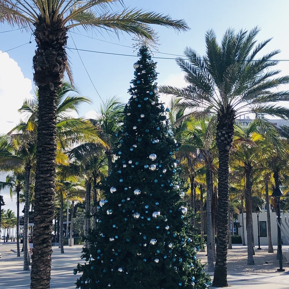 Las Olas Oceanside Park - Parks Near Me - Fort Lauderdale, Florida