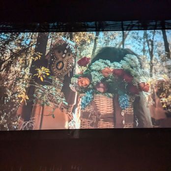 Alpine Theatre - Cinema Near Me - Brooklyn, New York