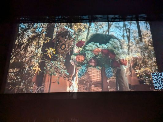 Alpine Cinema by null