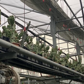 Ted's Greenhouse - Nurseries & Gardening Near Me - Tinley Park, Illinois Ted's Greenhouse - Nurseries & Gardening Near Me - Tinley Park, Illinois