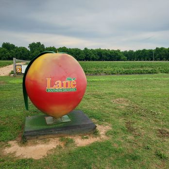 Lane Southern Orchards - Farmers Market Near Me - Fort Valley, Georgia Lane Southern Orchards - Farmers Market Near Me - Fort Valley, Georgia