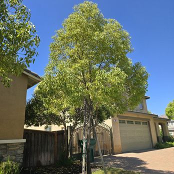 Key Landscape  - Landscaping Near Me