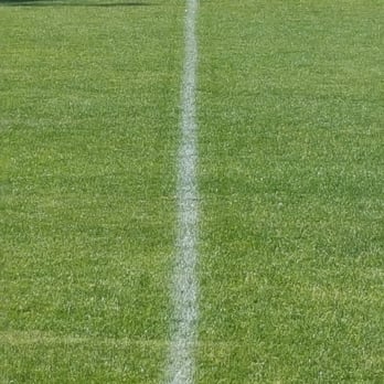 University Little League - Beautiful real grass - Stadiums & Arenas Near Me - Fort Worth, Texas University Little League - Beautiful real grass - Stadiums & Arenas Near Me - Fort Worth, Texas