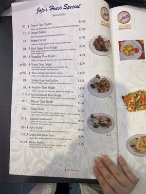 Menu photo 8 Mulan JoJo’s China Bistro Katy, TX Menu photo 8 Mulan JoJo’s China Bistro Katy, TX