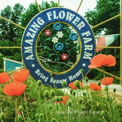 Amazing Flower Farm - Amazing Flower Farm is worth the trip