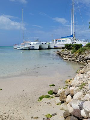 Jamaica Jamaica by null