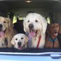 Photo of Watch Dogs