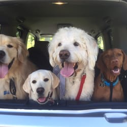 Watch Dogs - Let's roll!