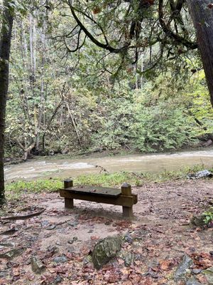 Natural Bridge State Park by null