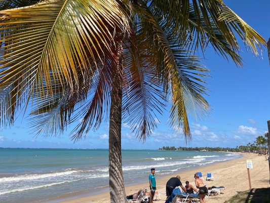 Vivo Beach Club by null