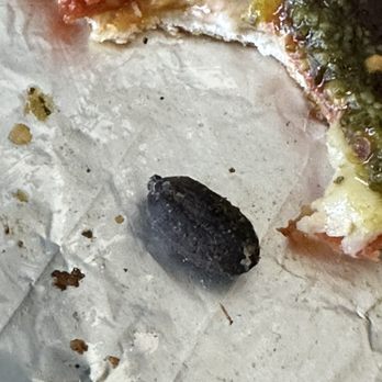 Blaze Pizza - Seed or rock? Literally almost broke my tooth. Feels like I had dental work done today. - Pizza Near Me - Hawthorne, California Blaze Pizza - Seed or rock? Literally almost broke my tooth. Feels like I had dental work done today. - Pizza Near Me - Hawthorne, California