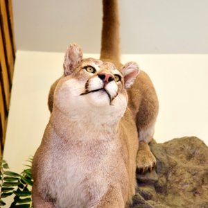 Tilden Regional Park on Yelp