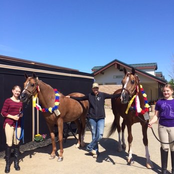 Cercek Performance Horses - Horseback Riding Near Me - Reno, Nevada