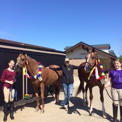 Cercek Performance Horses